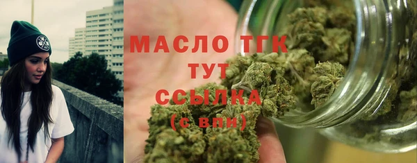 шишки Богородицк